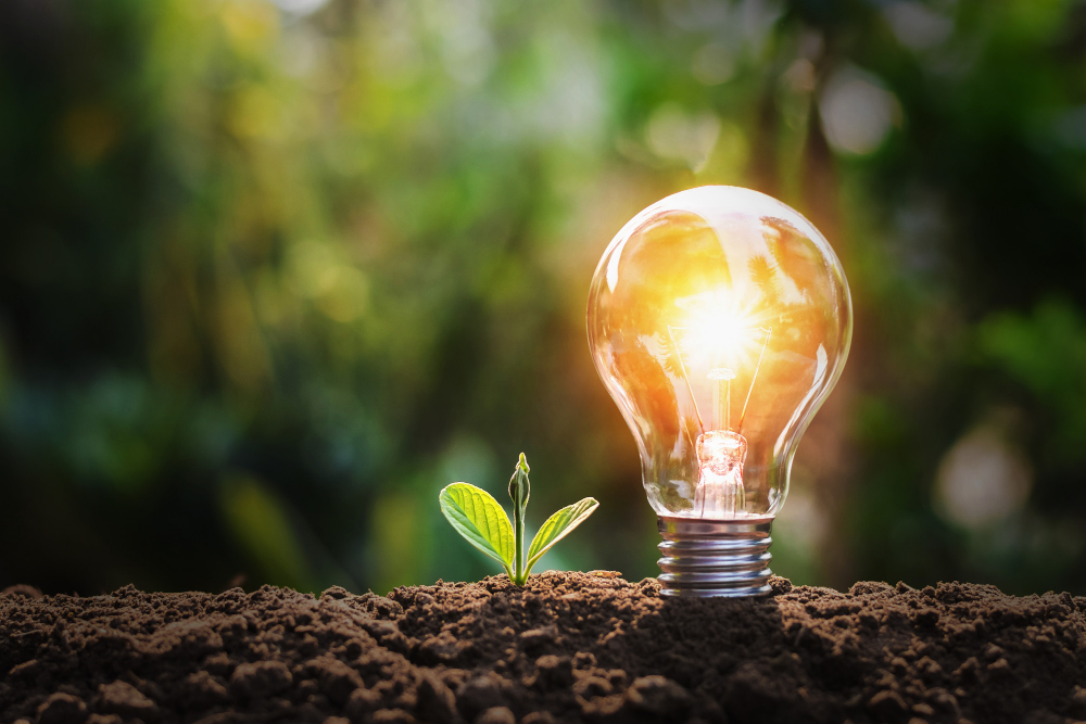 lightbulb-with-small-plant-soil-sunshine-concept-saving-energy-nature
